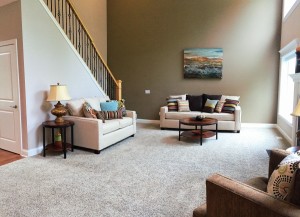 Home Staging: Homes Staged Right By LJ